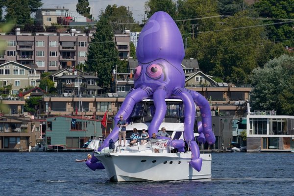 Kraken19at