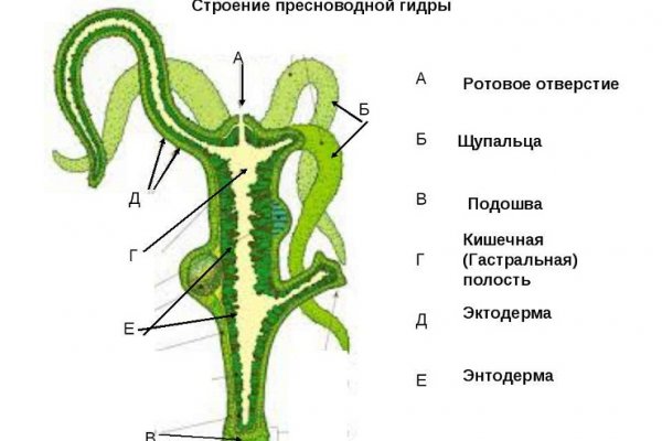 Кракен зарегистрироваться