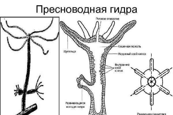 Кракен сайт в тор браузере