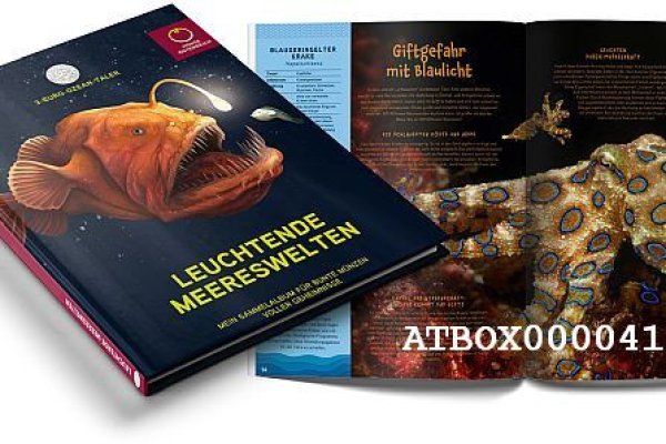 Настоящая ссылка на кракен