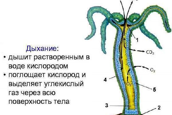 Kra45.cc Вход на сайт главная страница