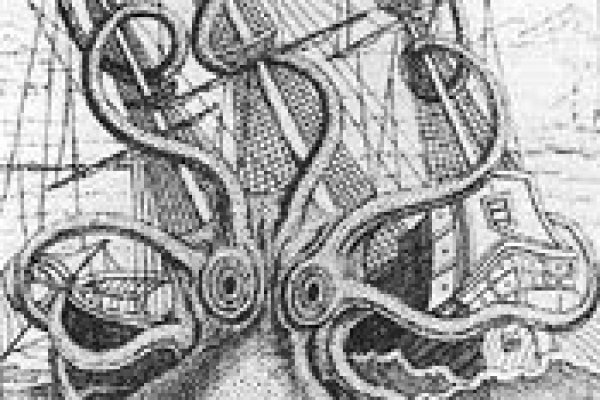 Официальный сайт kraken ссылки зеркала