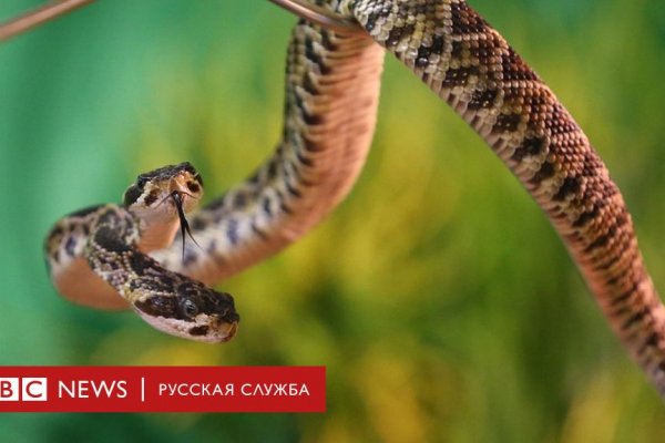 Кракен сайт ссылка онлайн