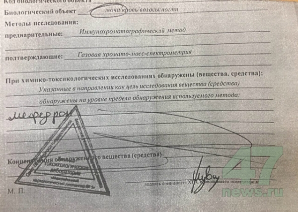 Не могу зайти в кракен